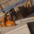 Husqvarna 445 x-torq chainsaw 1 thumbnail
