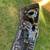 2024-2025 Chevy Silverado 2500 3500 Bumper 5 thumbnail