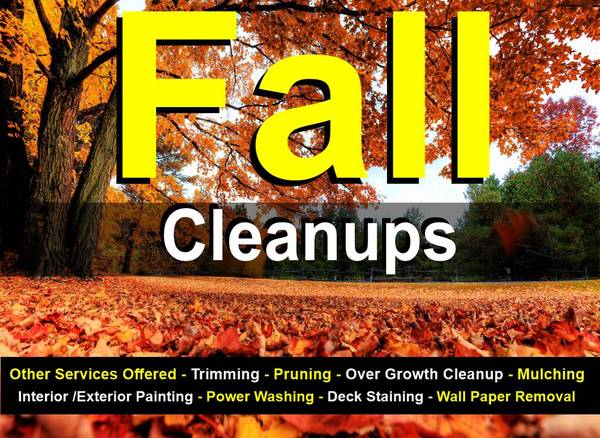 🍁🍂🍂 ------ Fall Leaf Cleanup ---- Yard Cleanup ------- 2026 1