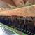 2003 JOHN DEERE 9660 STS 6 thumbnail