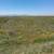 VENTA 80 HECTAREAS VALLE DE LAS PALMAS  $ 2'220,000 Dlls 5 thumbnail