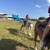 Pony rides on Horses, Unicorns, Minis and Carts 5 thumbnail