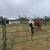Horse / cattle panels for corrals, round pens or arena 2 thumbnail