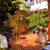 Beautiful 2 Bdrs.  and 1 Bdr. Apts. $700.00 and $600.0 8 thumbnail