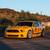 2013 Ford Mustang Boss 302 (Tastefully Modified & Track-Ready) 1 thumbnail