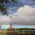 Terry Redlin Spring Fever 7 thumbnail