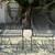 Vintage Iron Outdoor Lounge Chairs ( 2) 1 thumbnail