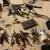 Star wars lot / micro 5 thumbnail