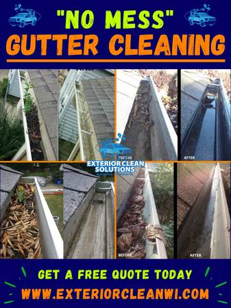 "No Mess" Fall Gutter Cleaning 1