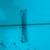 Modern Blackbird 7’6 Longboard Surfboard 4 thumbnail