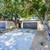 Sunrise Villas! Modernized Townhome within Quiet Community 1 thumbnail