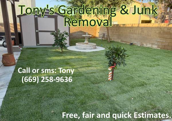 🟠ANTONY Landscape, Garden. Fake Grass. Junk, Demo, more. Estimates🟠 1