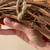 Fall Leaves Wreath 3 thumbnail