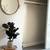 Mini Studio - Great Cost for a Great Apartment. Starting at $1655 2 thumbnail