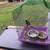 PARAKEET 3 thumbnail