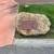 Single Cremation Niche 1 thumbnail