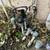 Sprinkler / Irrigation Tech 13 thumbnail