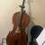 Cecilio Full Size Cello for sale or trade 3 thumbnail