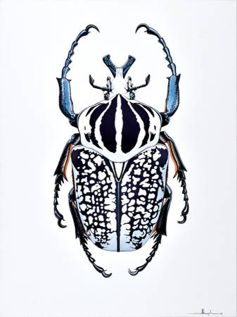 Alex Nizovsky - Goliath Beetle #1 - Contemporary Art Painting 30"x40" 1