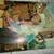 Comics, Roy Rodgers, Gene Autry, Red Ryder, all from 1950s all for $40 8 thumbnail