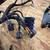 1998 HD screamin eagle XL1200S Sportster Sport OEM Wiring Harness 5 thumbnail