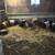 Feeder Pigs 3 thumbnail