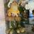 Frog Collection 2 thumbnail