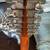 SEAGULL 12 STRING ACOUSTIC GUITAR 7 thumbnail