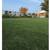 Save Big on Recycled Artificial Turf - Turf As Low As $0.59/SQFT 4 thumbnail