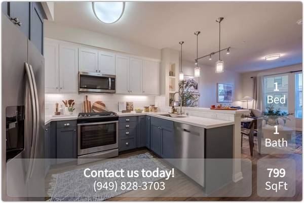 Comfortable living. Conveniently located, spacious 1 bed 1 bath! 1