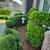 MULCHING 🌳/FULL CLEANUP/ FENCING/ RETAINING WALL 19 thumbnail