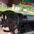 1992 chevy pickup 9 thumbnail