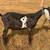 Registered American Nubian Buckling 2 thumbnail
