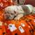 Beautiful English bulldogs are looking for re-homing 3 thumbnail