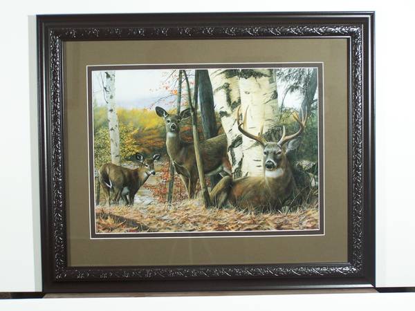 "Autumn Majesty" Framed Whitetail Deer Print by Kevin Daniel (New) 1