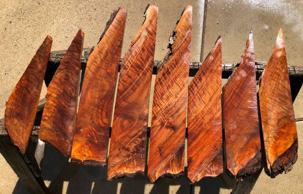 Black Walnut Lumber Group B 1