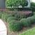Sprinkler blowout, Aeration,Fertilizer,Weed control & 6 thumbnail