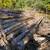 Corral / Fence Poles 1 thumbnail