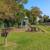 1 Bed, On-Site Maintenance, BBQ/Picnic Area 3 thumbnail