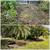 LANDSCAPE RESCUE: Landscaping Design, Installation, Maintenance 19 thumbnail