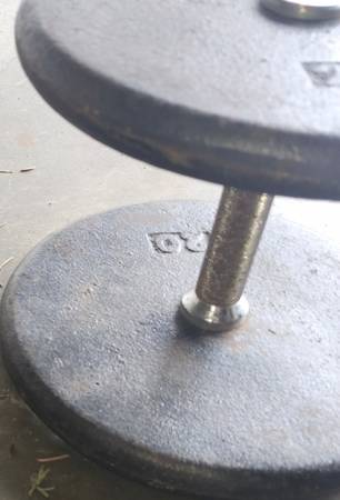 40 Lb Single Professional Cast Iron Dumbbell & 3.5 Lb Handle Pd $110 1