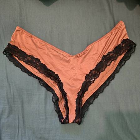 Buying Worn Intimates 1