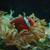 Aquarium and Pond Maintenance and supplies 12 thumbnail