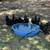 Selling Black Australorp Chicks/Pullets 1 thumbnail