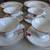 New rare 16 PCs Mikasa Fine dining China plates / Bowls / cups set 2 thumbnail