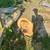 Cottonwood tree trunks 3 thumbnail