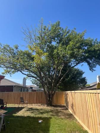 Platinum Landscape 1