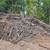 Massive Amount of Wood 1 thumbnail