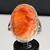 VTG Merle House Navajo Sterling 925 Orange Red Spiny Oyster Sz 11 Ring 2 thumbnail