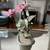Vintage Bonsai tree with pink glass flowers on Celadon Base 4 thumbnail
